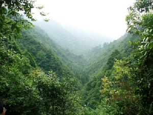 臥龍谷生態休閒旅遊風景區