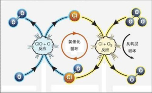 臭氧層破壞和損耗