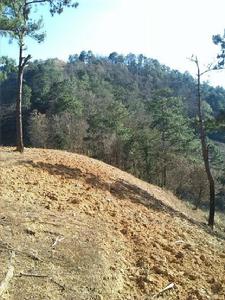 老龍溝村[雲南省文山州丘北縣雙龍營鎮老龍溝村]