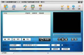 頂峰全能視頻轉換器