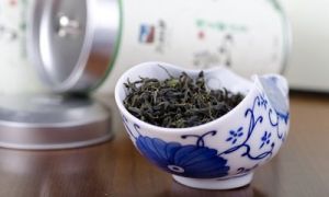 嶗山綠茶