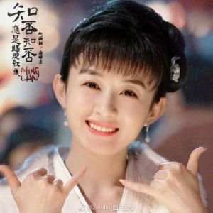 盛明蘭[電視劇《知否知否應是綠肥紅瘦》女主角]