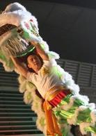 醒獅[2007年香港電影]