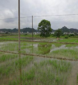 古城鎮[江西省井崗山市]