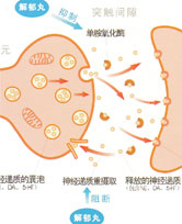 解郁丸作用機制示意圖