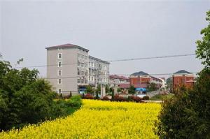 下楊村[浙江省衢州市龍游縣東華街道下轄村]