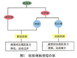 不隨意運動