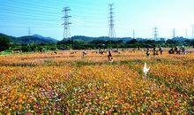 深圳市錦繡田園