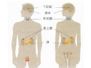 高雄激素血症