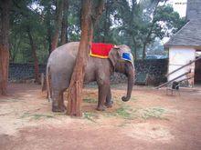 海口金牛嶺動物園