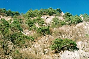 天佛指山國家級自然保護區