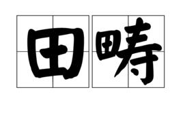 田疇[漢語詞語]