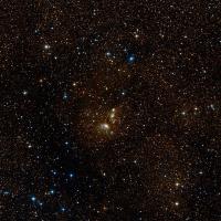 IC 4954