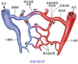 局部血液循環障礙