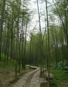 百竹園[廣東佛山]