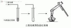 二氧化硫漂白品紅溶液