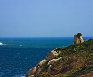 蒲苔島