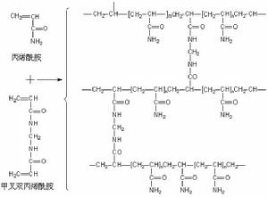 非變性聚丙烯醯胺凝膠電泳