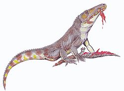 加斯馬吐鱷（學名：Chasmatosuchus）是種大型主龍形類動物，生存於三疊紀早期的南非與中國。加斯馬吐鱷是已知最早的主龍形類之一。它們身長2米，被認為行為類似現代鱷魚。加斯馬吐鱷有兩個明顯的特徵：上頜前端往下彎曲，可協助咬住獵物；齶骨有一排牙齒，這是個消失的主龍類原始特徵。加斯馬吐鱷化石時期： 三疊紀早期  科學分類 界： 動物界 Animalia 門： 脊索動物門 Chordata 綱： 蜥形綱 Sauropsida 下綱： 主龍形下綱 Archosauromorpha 科： 古鱷科 Proterosuchidae 屬： 加斯馬吐鱷屬 ChasmatosuchusHuene, 1940  種 俄羅斯加斯馬吐鱷 C. rossicusHuene, 1940 (模式種) 嬌小加斯馬吐鱷 C. parvusHuene, 1940 (疑名)