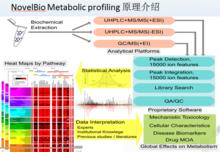 代謝組檢測流程
