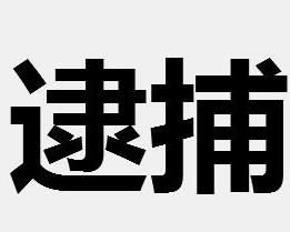 逮捕[美國1993年摩根·弗里曼執導電影]