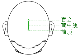 頂中線