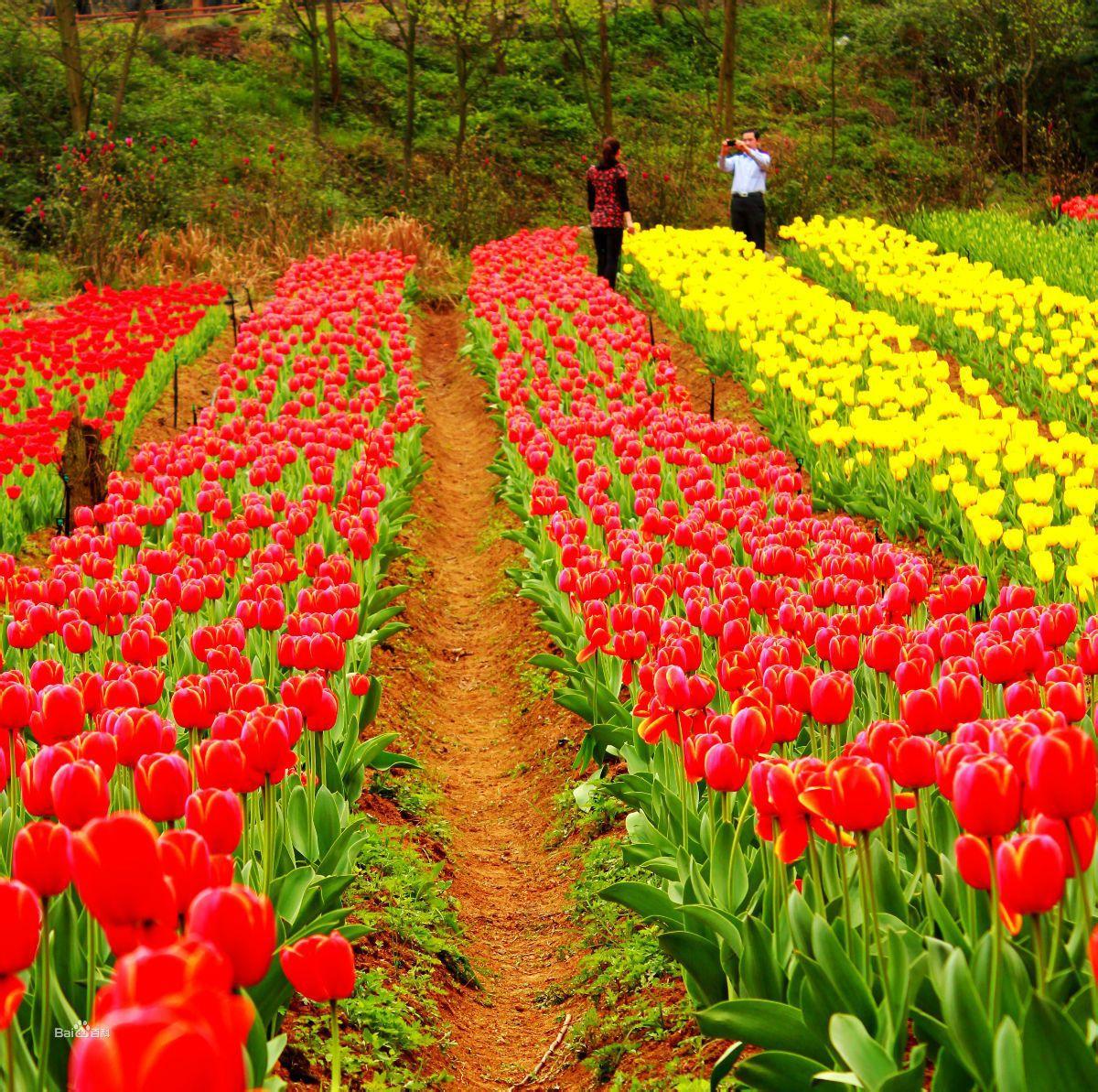 南陽獨山森林公園