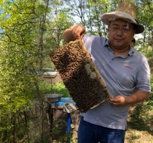 陝蜂哥（陝西蜂蜜哥）創始人侯曉輝