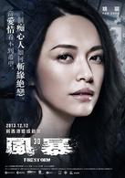 風暴[2013年劉德華主演的電影]