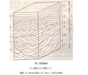 煤系沉積構造