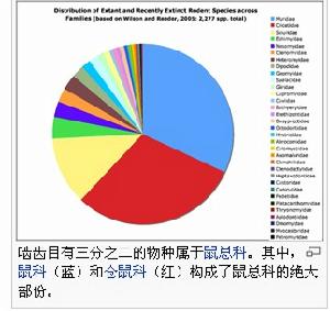 齧齒目分類