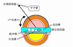 中子脈衝