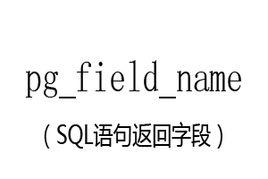 pg_field_name