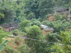 丫巴山自然村[雲南省普洱市思茅區雲仙彝族鄉下轄村]