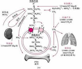 病理過程