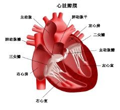 陣發性心動過速