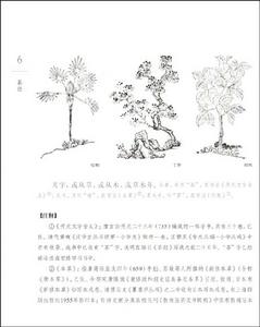 書中插圖