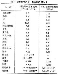 分子進化