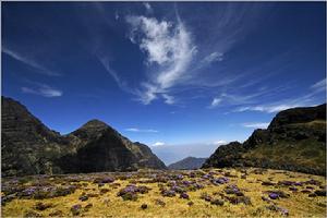 雲南昭通市巧家縣藥山