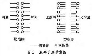 雙分子脂膜