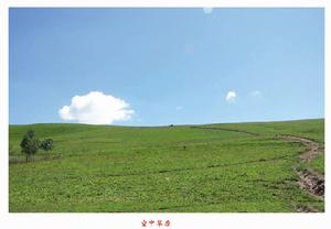 甸子梁空中草原風景區