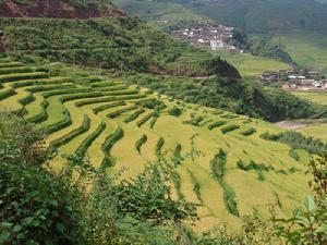 三岔河大村