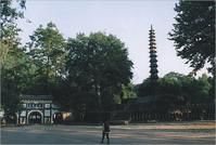 玉泉寺斜塔