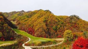 天橋溝國家森林公園