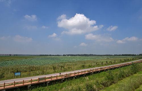 安徽三汊河國家濕地公園