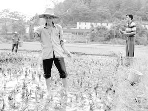 （圖）花山瑤族鄉