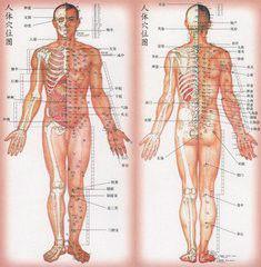 人體的五大保健區