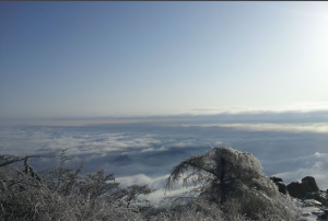 泰山旅遊