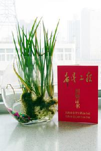 上海市希望工程辦公室頒發的“捐贈證書”