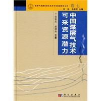 《中國煤層氣技術可采資源潛力》